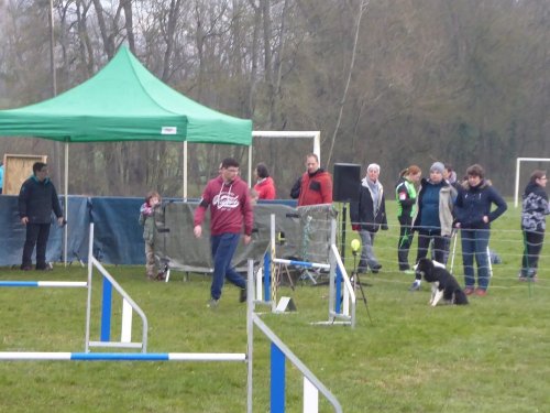 Concours d'agility, Gergy, 25mars 2018