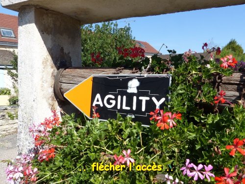 Concours d'agility, Fontaines 9 et 10 septembre 2023