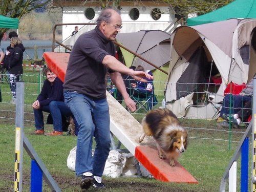 Concours d'agility, Gergy, 25mars 2018