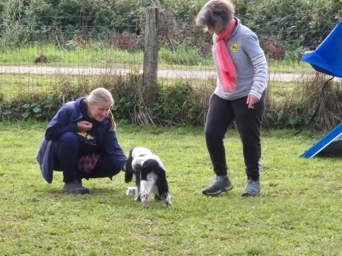 Stage d'agility, 12 octobre 2025