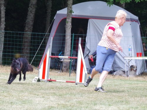 Concours d'agility, Sanvignes, 5 août 2017