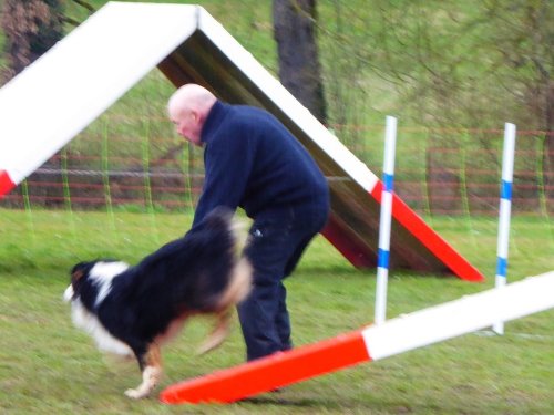 Concours d'agility, Gergy, 25mars 2018