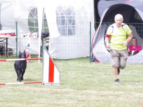 Concours d'agility, Sanvignes, 5 août 2017