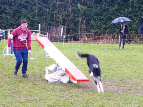 Concours d'agility, Gergy, 25mars 2018