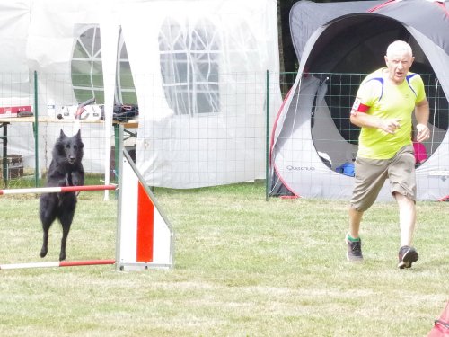 Concours d'agility, Sanvignes, 5 août 2017