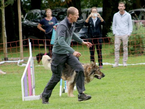Concours d'agility, nos fontenois au château de la Loyere