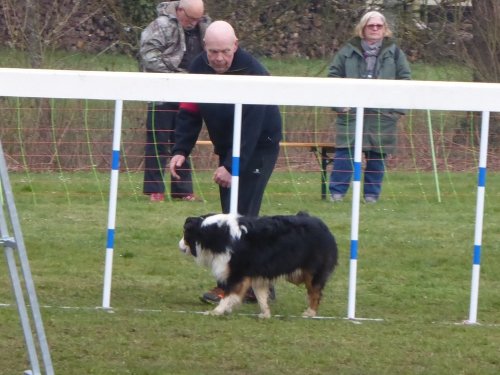 Concours d'agility, Gergy, 25mars 2018