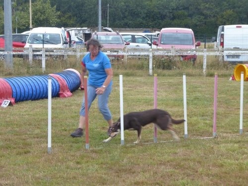 Concours d'agility, Montret, 28 juillet 2019