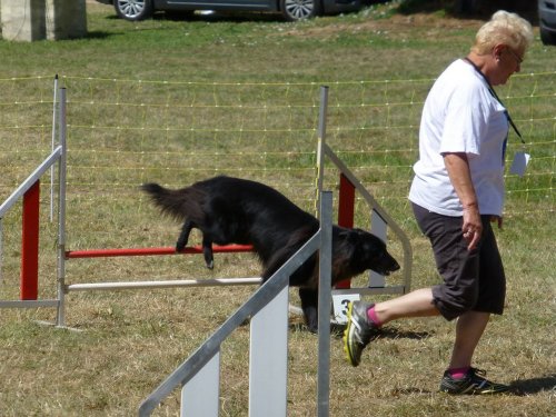 Démonstration à Bresse sur Grosne les 5 et 6 août 2017