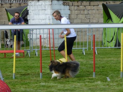 Concours d'agility, Autun, 14 septembre 2014