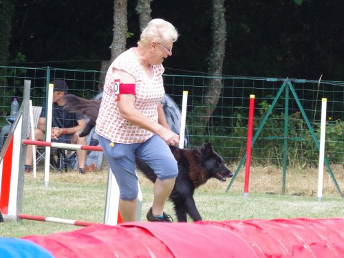 Concours d'agility, Sanvignes, 5 août 2017