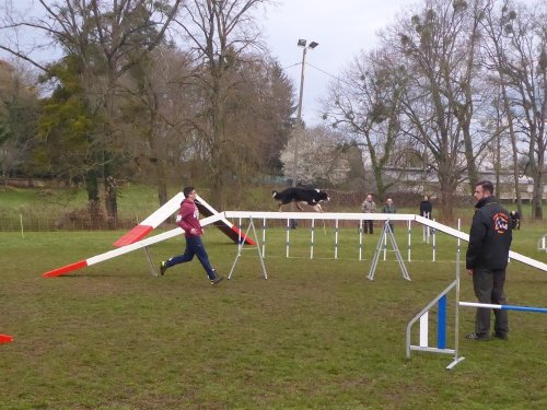 Concours d'agility, Gergy, 25mars 2018