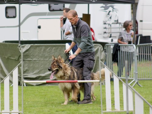 Concours d'agility, nos fontenois au château de la Loyere