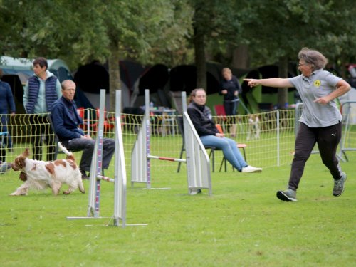 Concours d'agility, nos fontenois au château de la Loyere