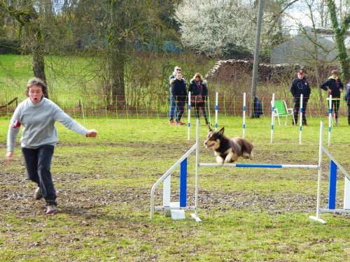 Concours d'agility, Gergy, 25mars 2018