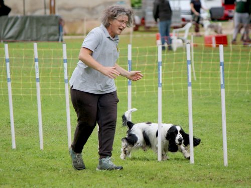 Concours d'agility, nos fontenois au château de la Loyere