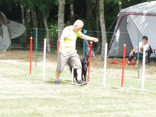 Concours d'agility, Sanvignes, 5 août 2017