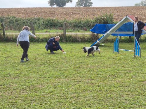 Stage d'agility, 12 octobre 2025