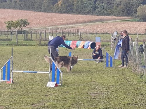 Stage d'agility, 12 octobre 2025