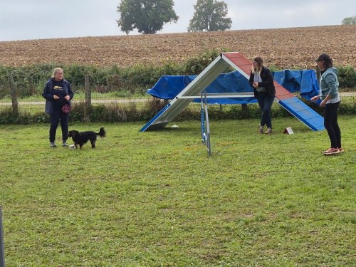 Stage d'agility, 12 octobre 2025