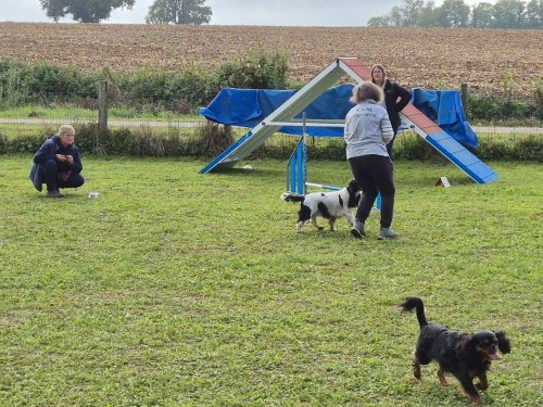 Stage d'agility, 12 octobre 2025