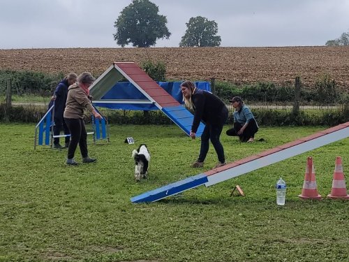 Stage d'agility, 12 octobre 2025
