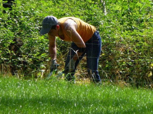 Journée travaux du 25 juin 2016