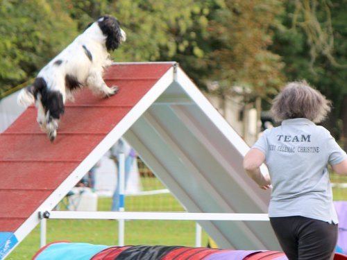 Concours d'agility, nos fontenois au château de la Loyere