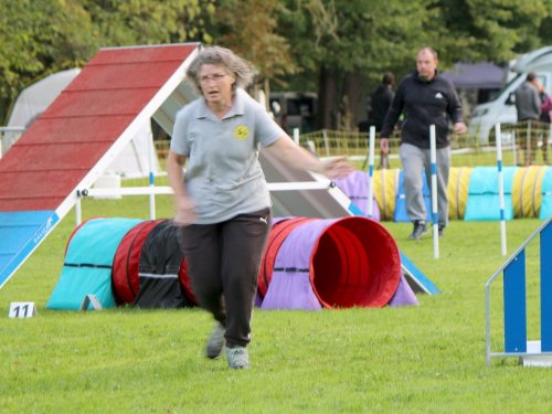 Concours d'agility, nos fontenois au château de la Loyere