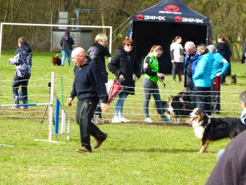 Concours d'agility, Gergy, 25mars 2018