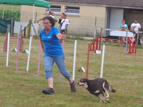 Concours d'agility, Montret, 28 juillet 2019