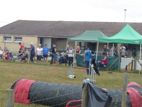 Concours d'agility, Montret, 28 juillet 2019