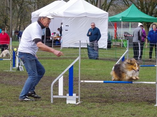 Concours d'agility, Gergy, 25mars 2018