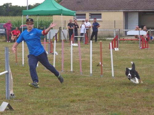 Concours d'agility, Montret, 28 juillet 2019