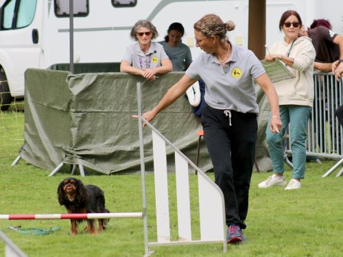 Concours d'agility, nos fontenois au château de la Loyere