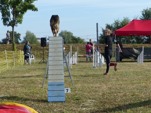 Concours d'agility de Fontaines, le 16 septembre 2018