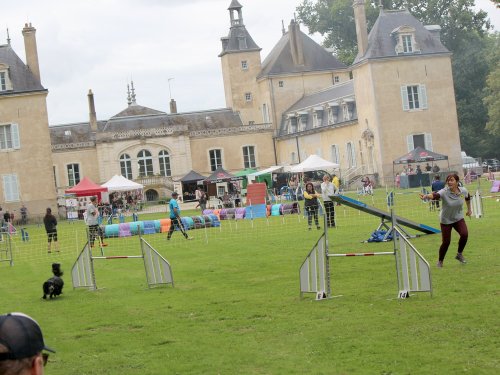 Concours d'agility, nos fontenois au château de la Loyere