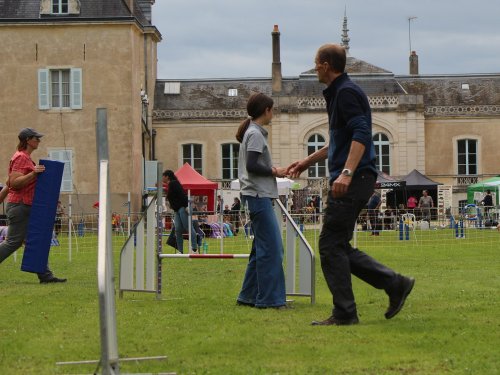 Concours d'agility, nos fontenois au château de la Loyere