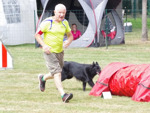 Concours d'agility, Sanvignes, 5 août 2017