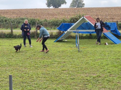 Stage d'agility, 12 octobre 2025