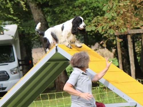 Concours d'agility, nos fontenois au château de la Loyere