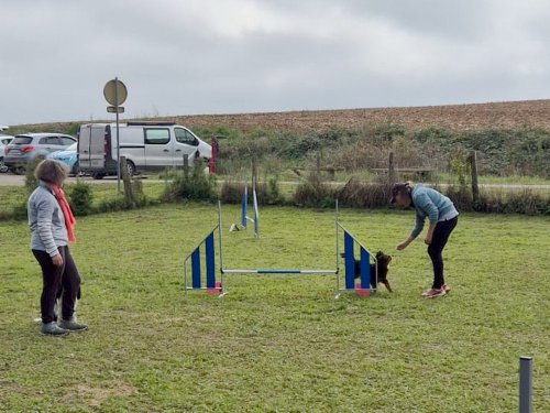Stage d'agility, 12 octobre 2025