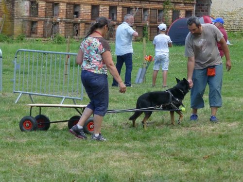 Démonstration à Bresse sur Grosne les 5 et 6 août 2017