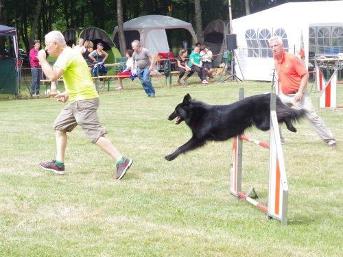 Concours d'agility, Sanvignes, 5 août 2017