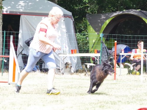 Concours d'agility, Sanvignes, 5 août 2017