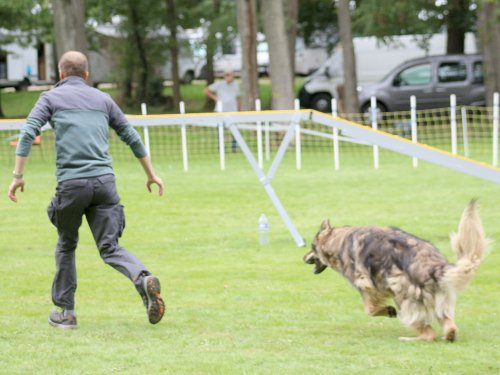 Concours d'agility, nos fontenois au château de la Loyere