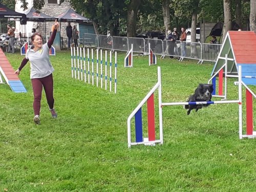 Concours d'agility, Châtenoy le Royal 28 septembre 2025