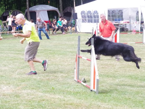 Concours d'agility, Sanvignes, 5 août 2017