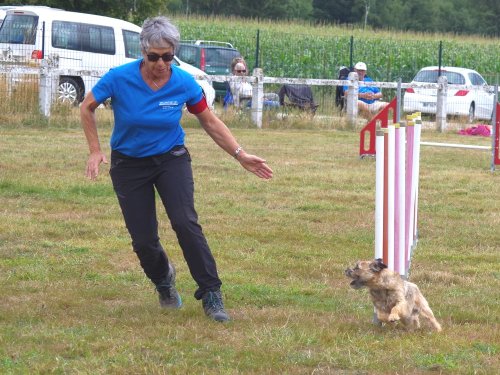 Concours d'agility, Montret, 28 juillet 2019