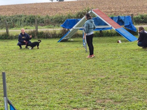 Stage d'agility, 12 octobre 2025